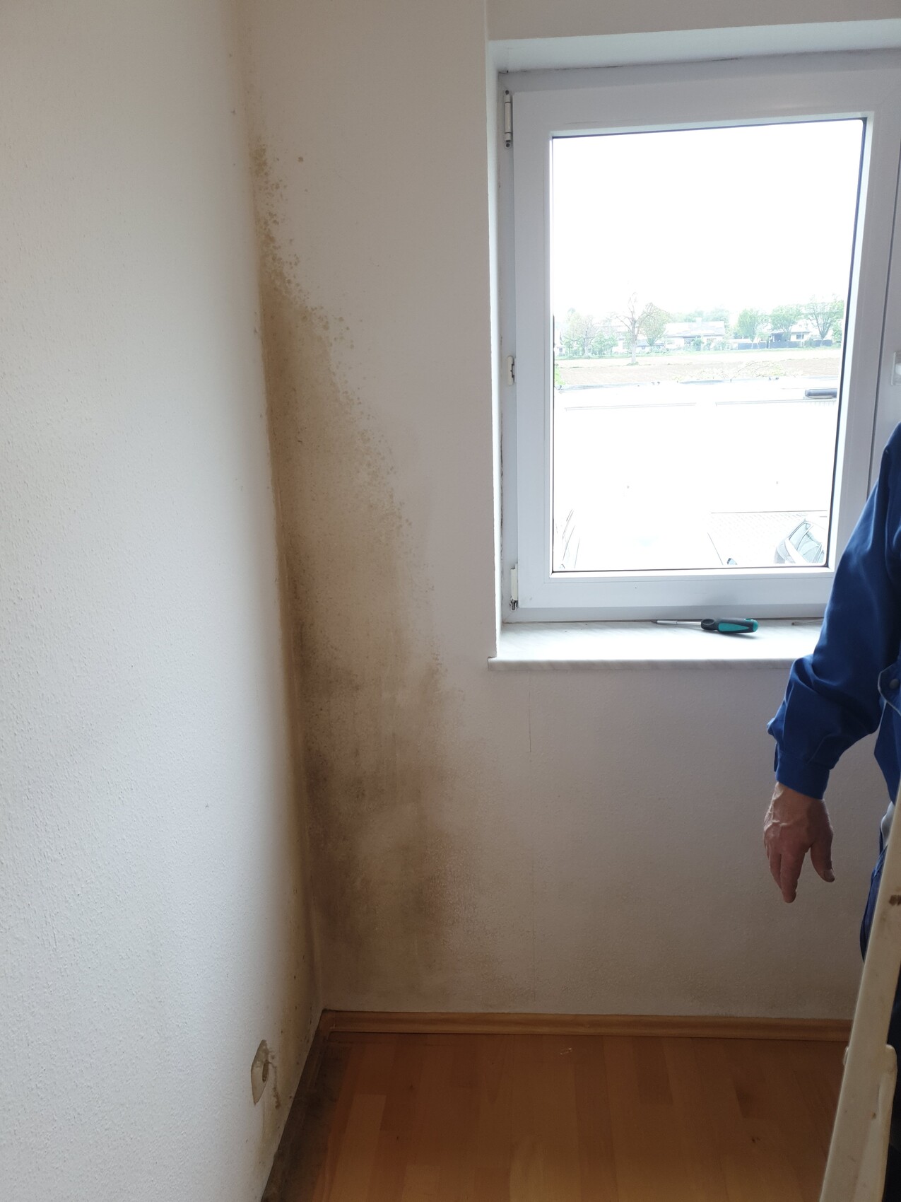 Dark moisture damage on the wall next to the window, laminate floor.