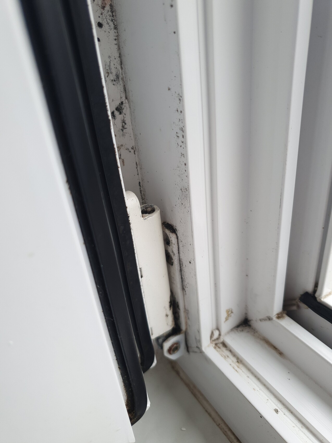 Close-up of a white window frame with seals, dust, and rust on the hinge.