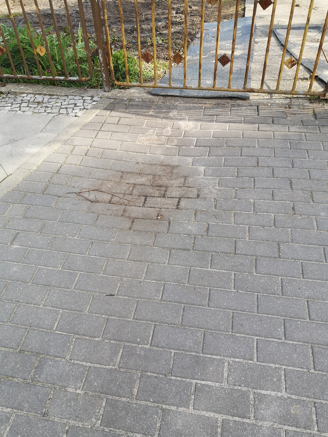 Paved sidewalk in front of a rusty metal fence; brown stains and leaf debris