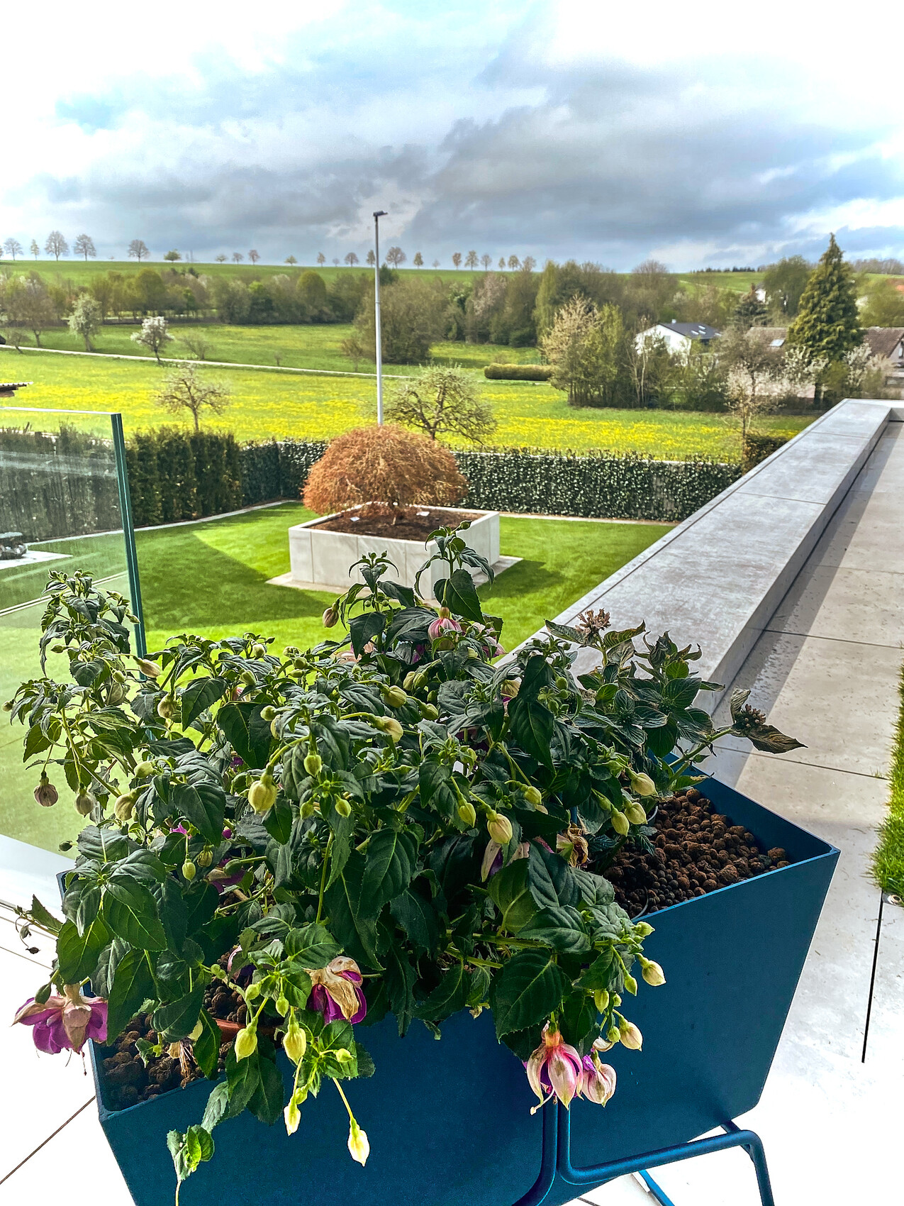 Blue balcony box with fuchsia flowers on terrace, view of green lawn, garden area, and fields.