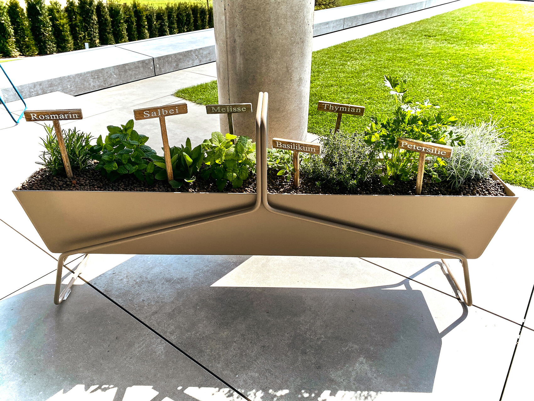 Modern herb box with rosemary, sage, lemon balm, basil, thyme, parsley on terrace