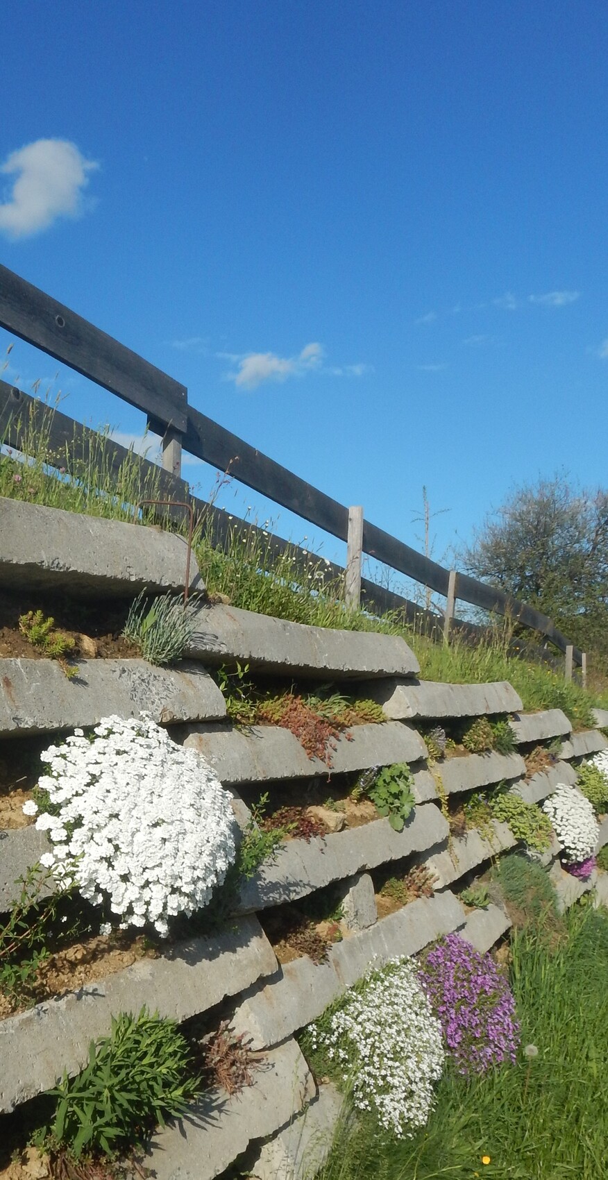 Retaining wall made of concrete steps with flower beds under blue sky