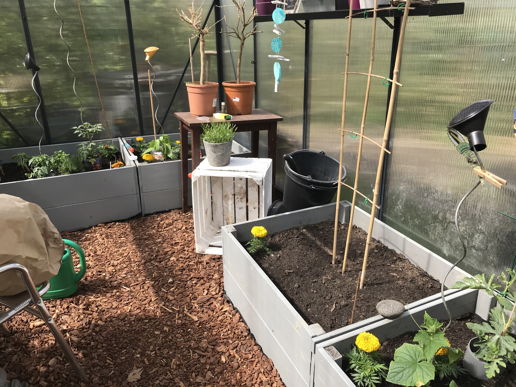 Garden in a greenhouse with raised beds, pots, bamboo stakes, watering can, and soil in the bed.