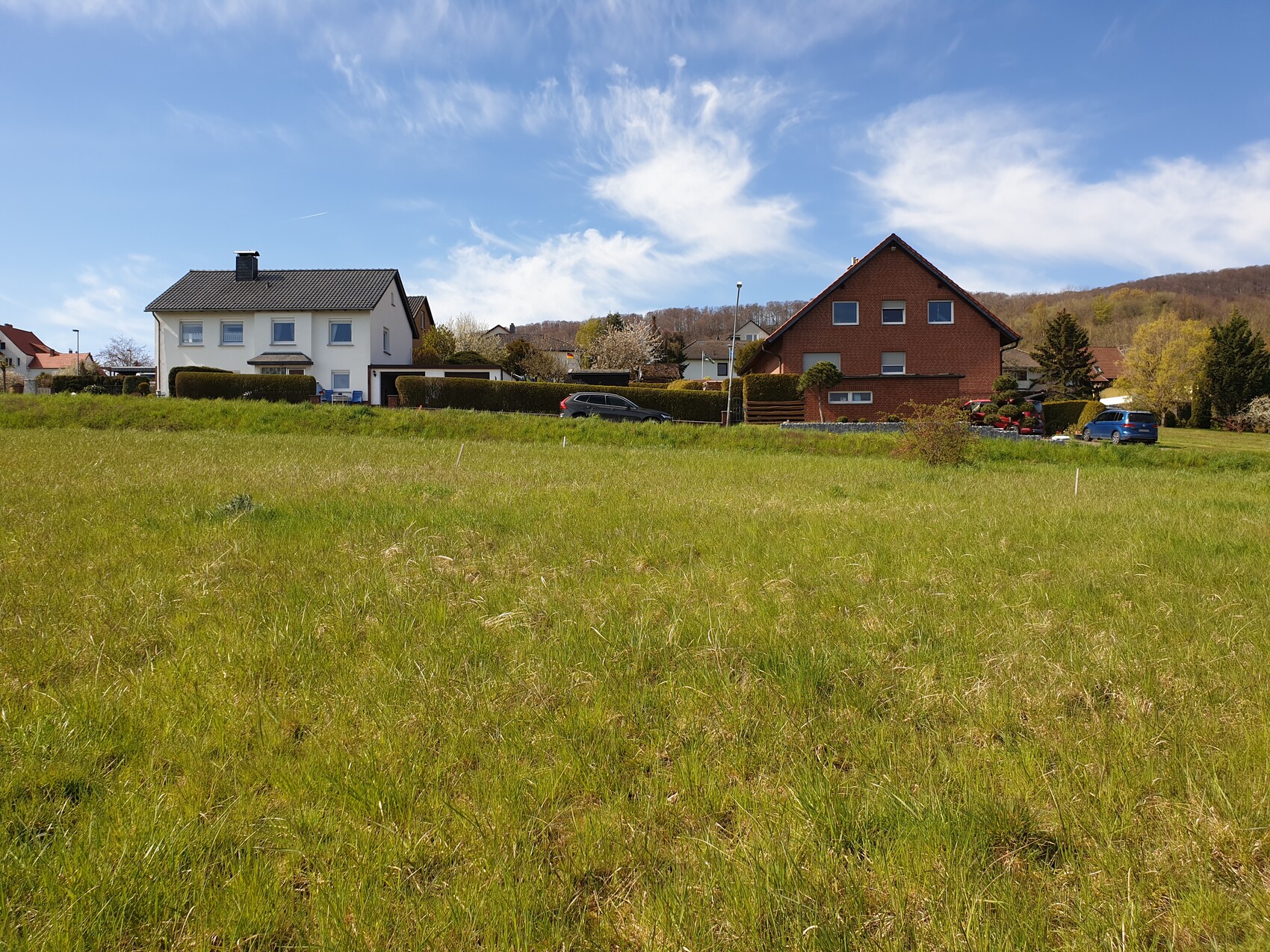 Green meadow in the foreground, two houses in suburb, cars parked by the roadside, blue sky.