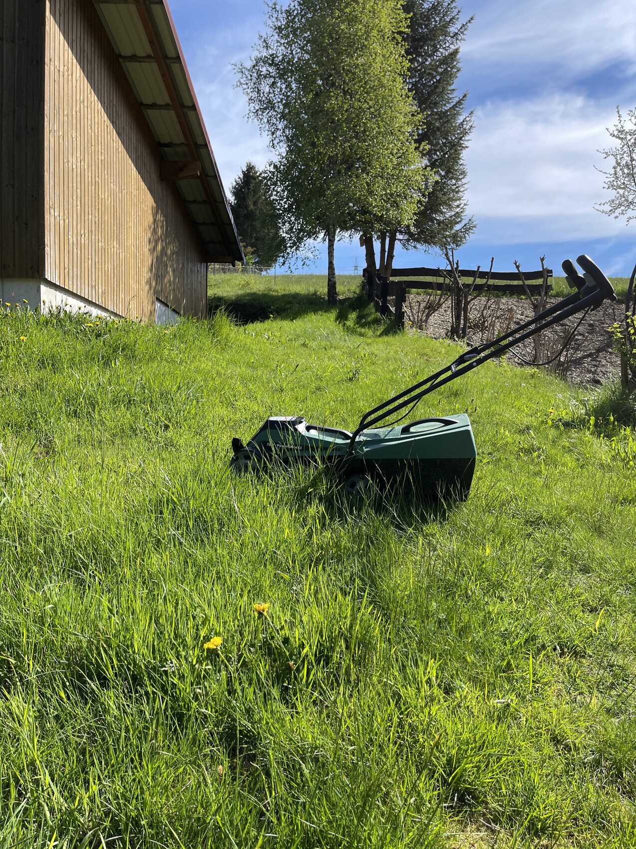 Green lawn mower in the grass next to a wooden shed, trees and fence in the background.