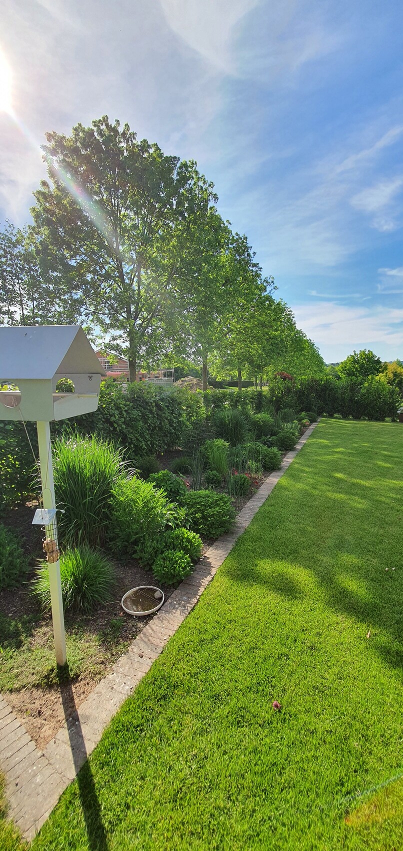 Garden path with green lawn, large tree, bright sunbeam, white mailbox.