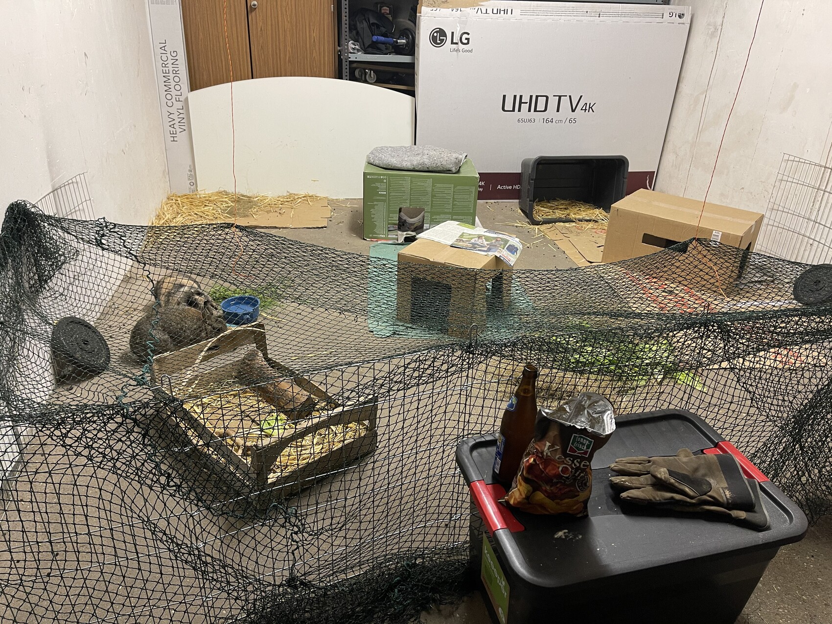 Small furry animal in a mesh enclosure, surrounded by cardboard boxes and TV packaging.