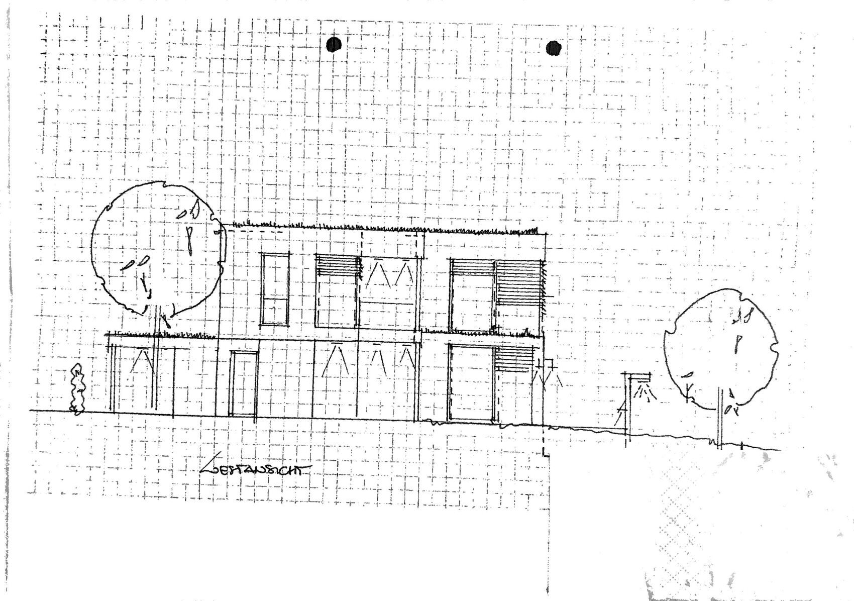 Sketch of a modern, two-story house with flat roof, window fronts, and trees.