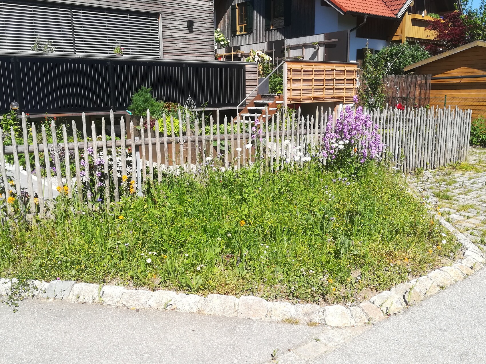 Front garden with colorful wildflowers behind a weathered wooden picket fence, houses in the background.