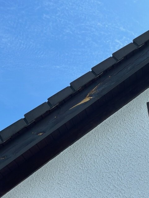Close-up of a roof edge with dark tiles above a white wall, blue sky