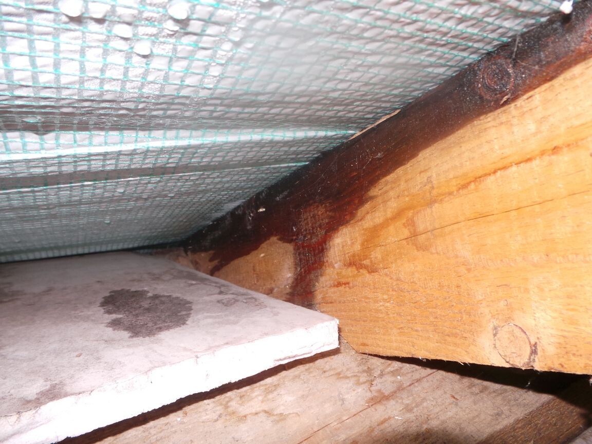 Dachbodenansicht: Holzbalken, grüne Isoliernetz, feuchter Fleck auf Betonplatte.