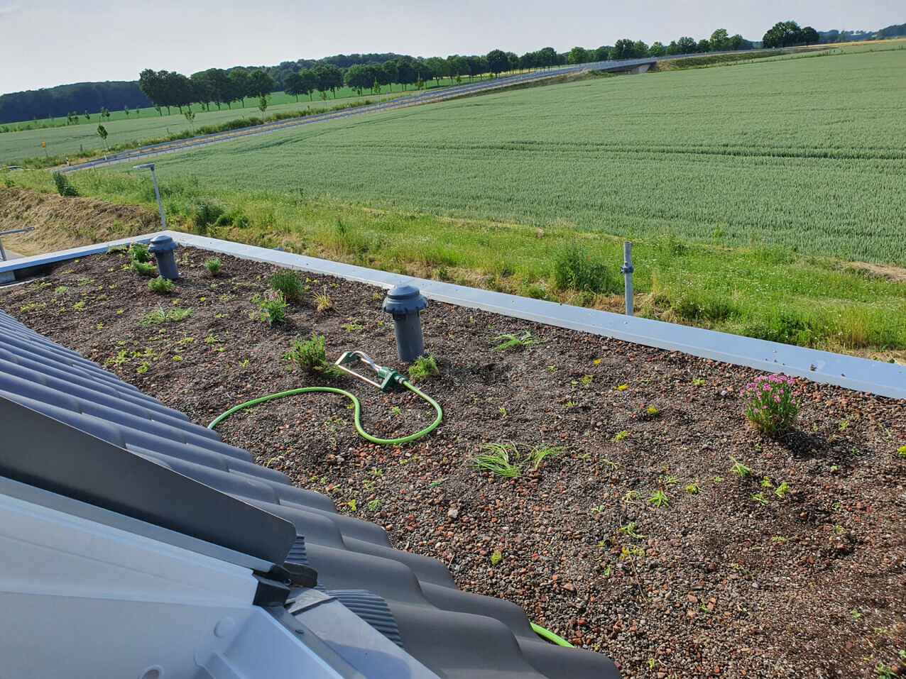 Roof garden with soil and small plants, garden hose; view over fields towards the bridge.