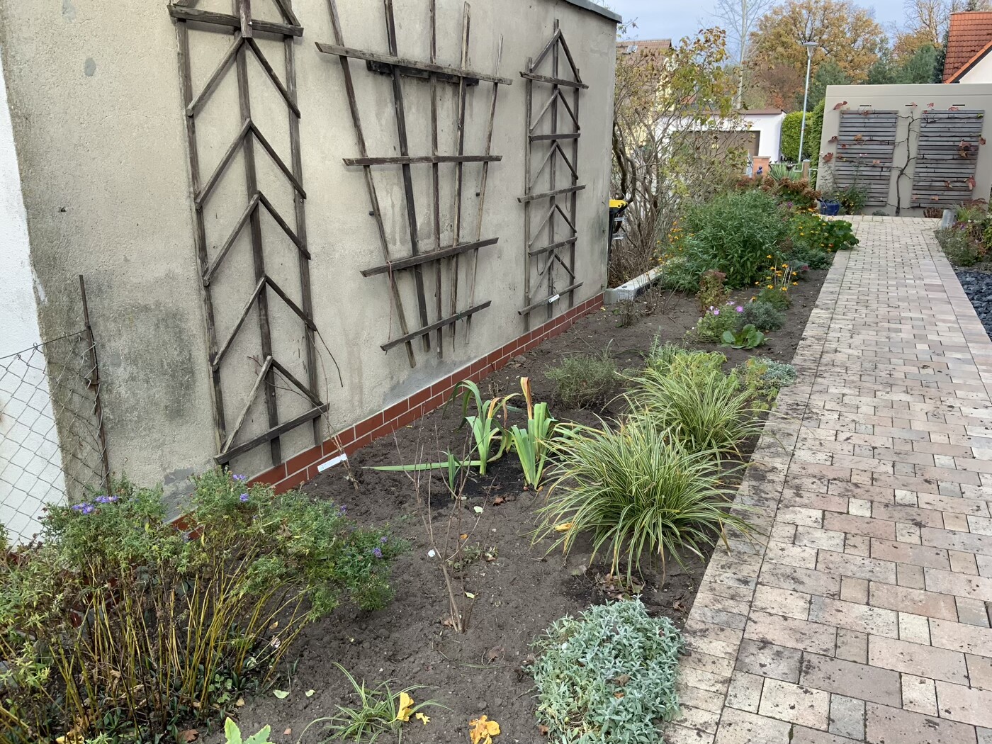 Garden strip next to a wall with wooden trellis panels, planting beds, and paved walkway.