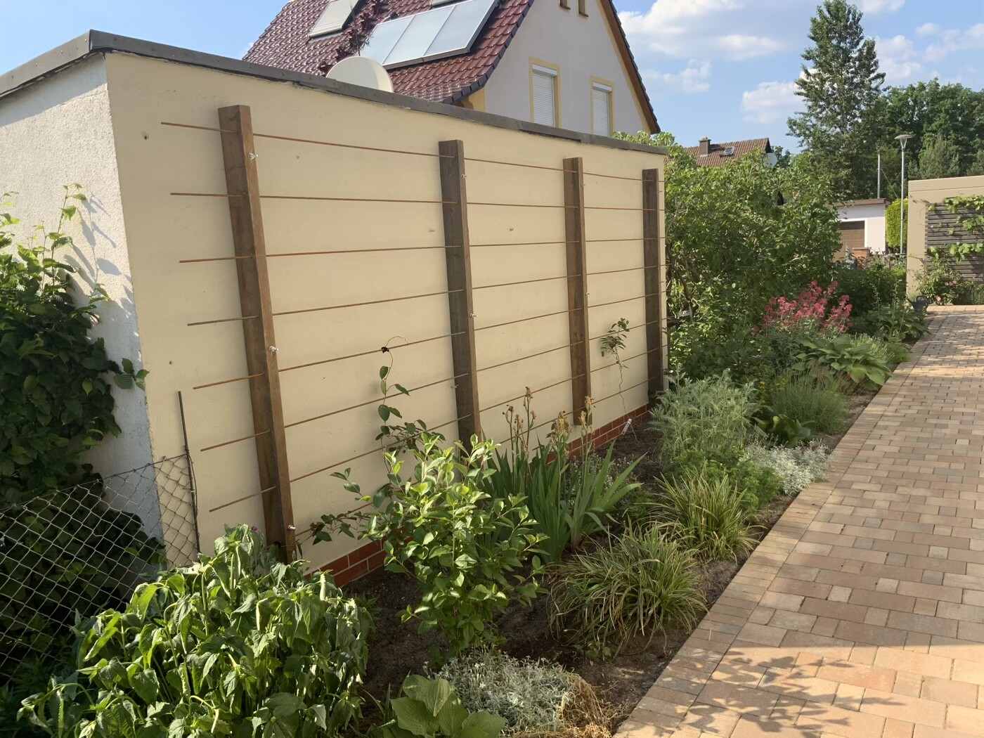Garden wall with wooden posts and wire mesh, planted strip along the paved path
