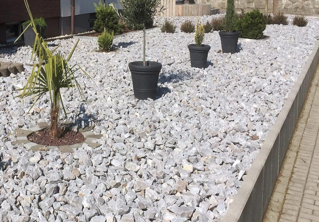 Garden area with white gravel, palm tree in a circular border, and black planters with small trees.
