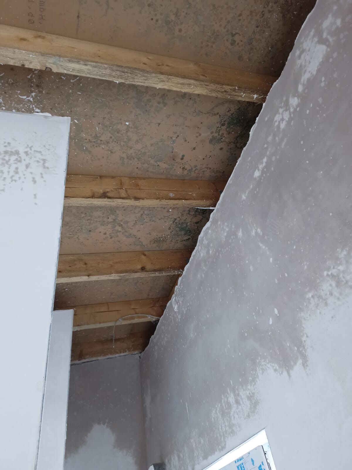 Wood beam ceiling with moisture and mold stains, next to a white wall