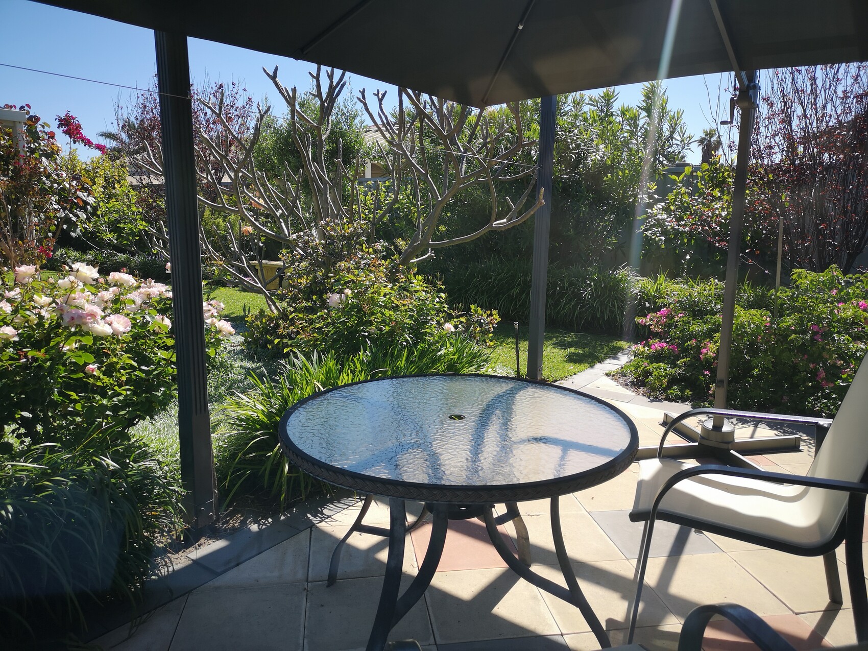 View of the garden from the patio: round glass table under a parasol, surrounded by shrubs and flowers.