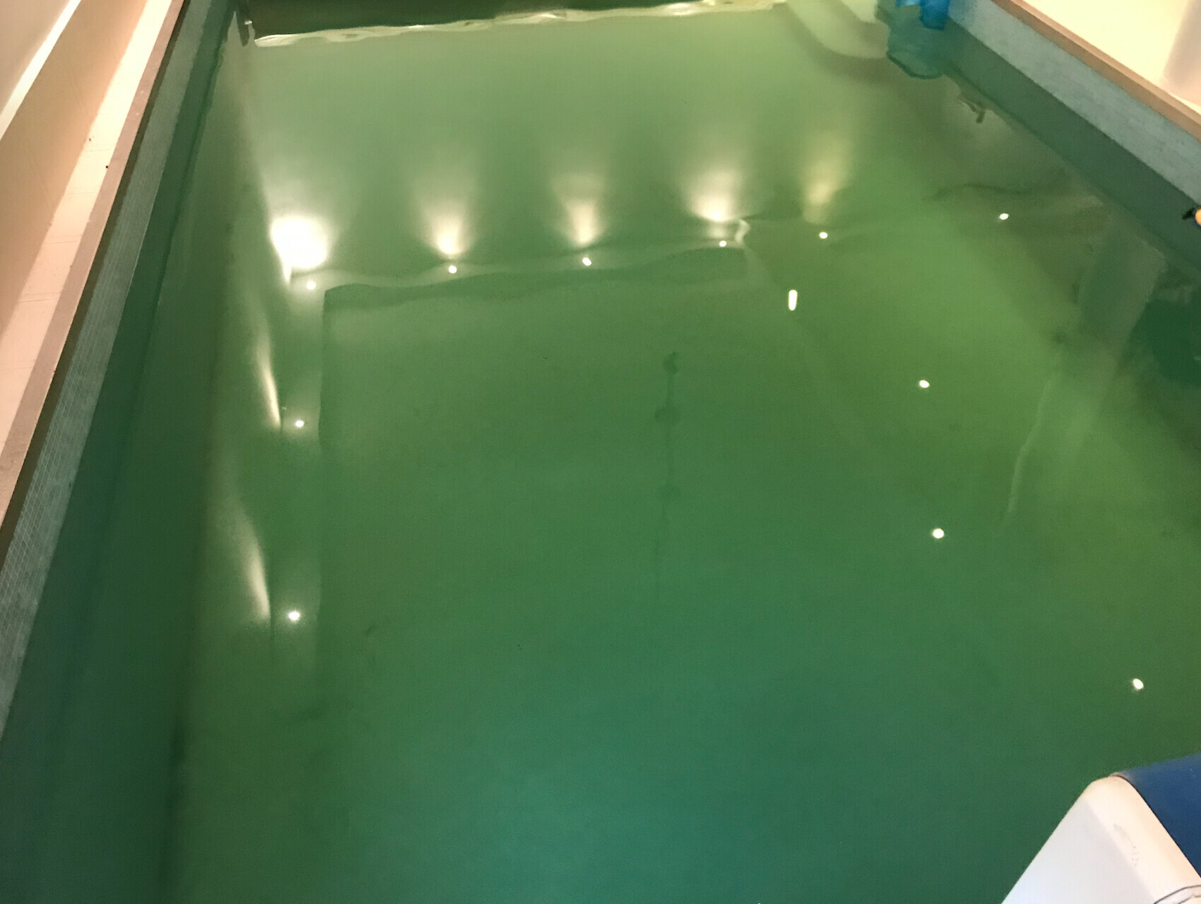 Becken mit grünem Wasser, Innenaufnahme; Lichtreflexe spiegeln sich auf der Oberfläche.
