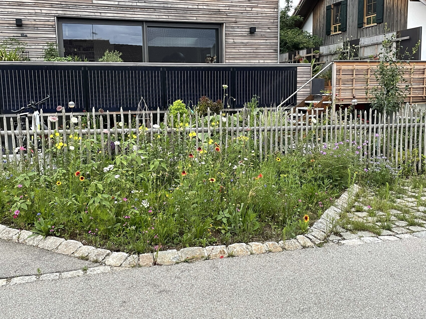 Flower bed in front of a wooden slat fence with colorful wildflowers; bicycle on the left in front of a modern house.