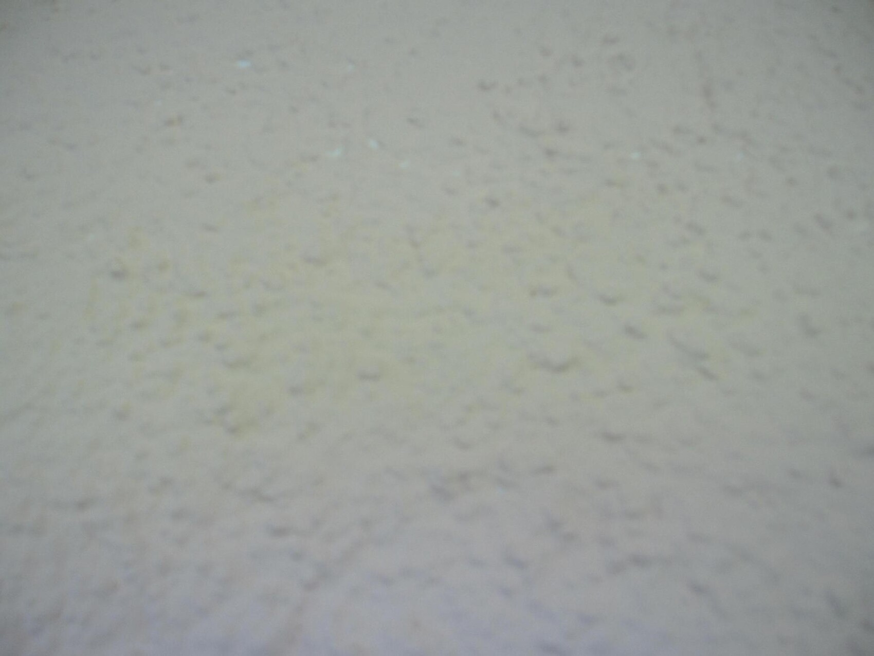 Close-up of a light gray wall with irregular plaster texture