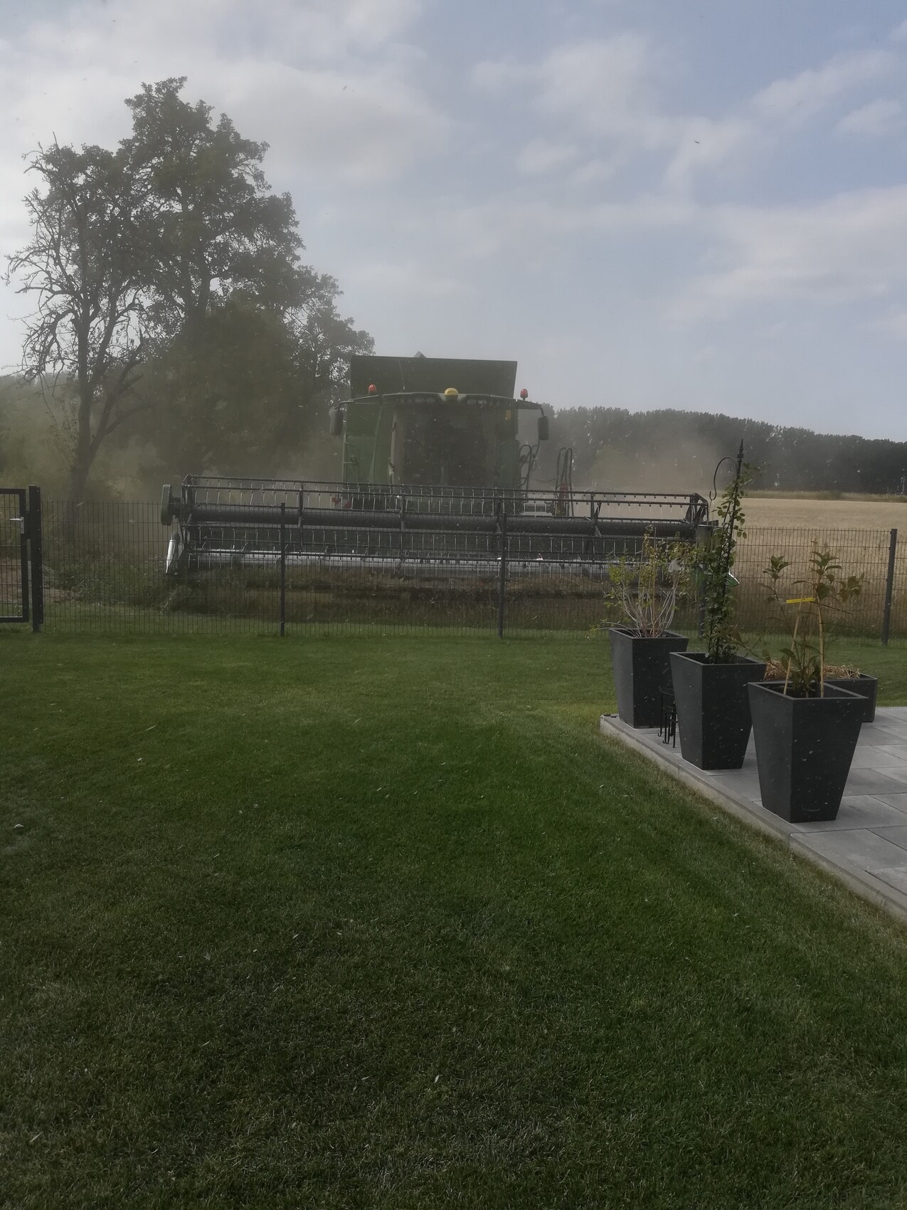 Green combine harvester working on a field behind a fence; garden with plant pots in the foreground.