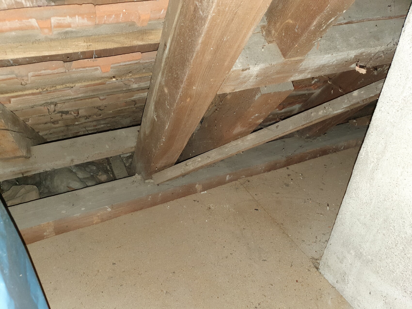 Attic with visible wooden beams, battens, dust, and cobwebs.