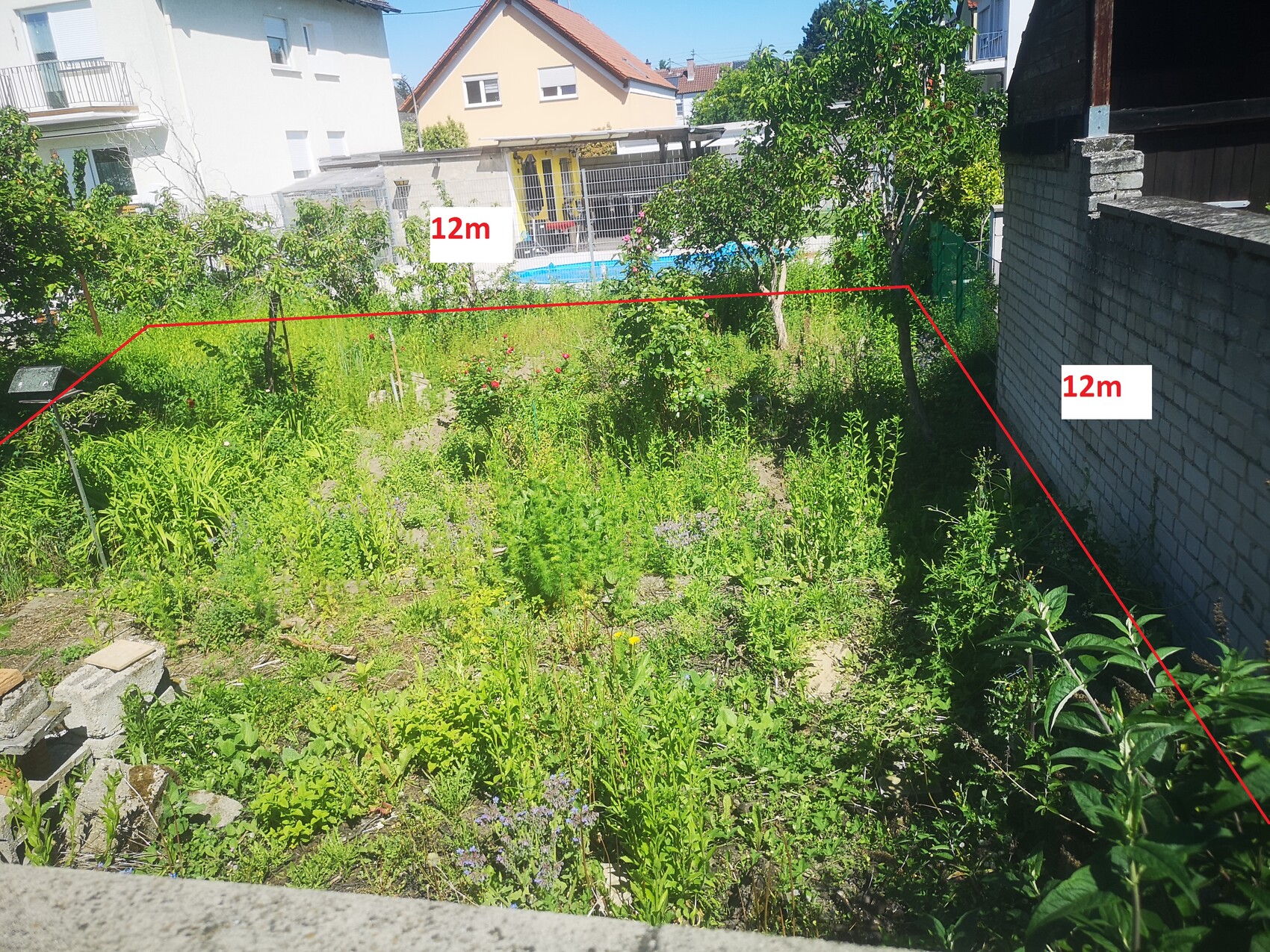 Garden with weeds; red lines mark a 12 m long area, right brick wall.