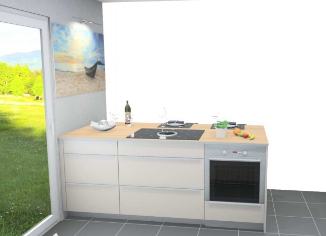 Modern kitchen combination with cooktop, oven, wine, fruit, window with garden view.