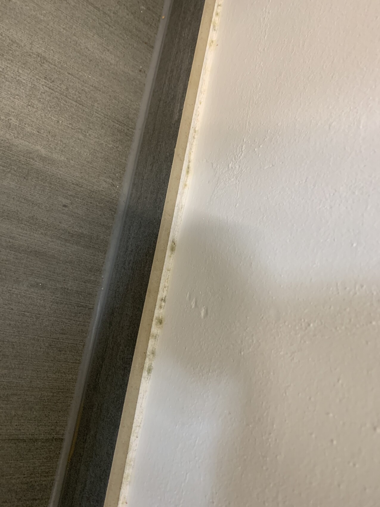 White wall with cream-colored edge; next to it, dark floor, edge dirty.