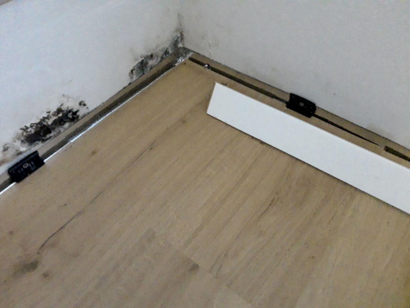 Damp wall edge with mold and damaged baseboard at floor level