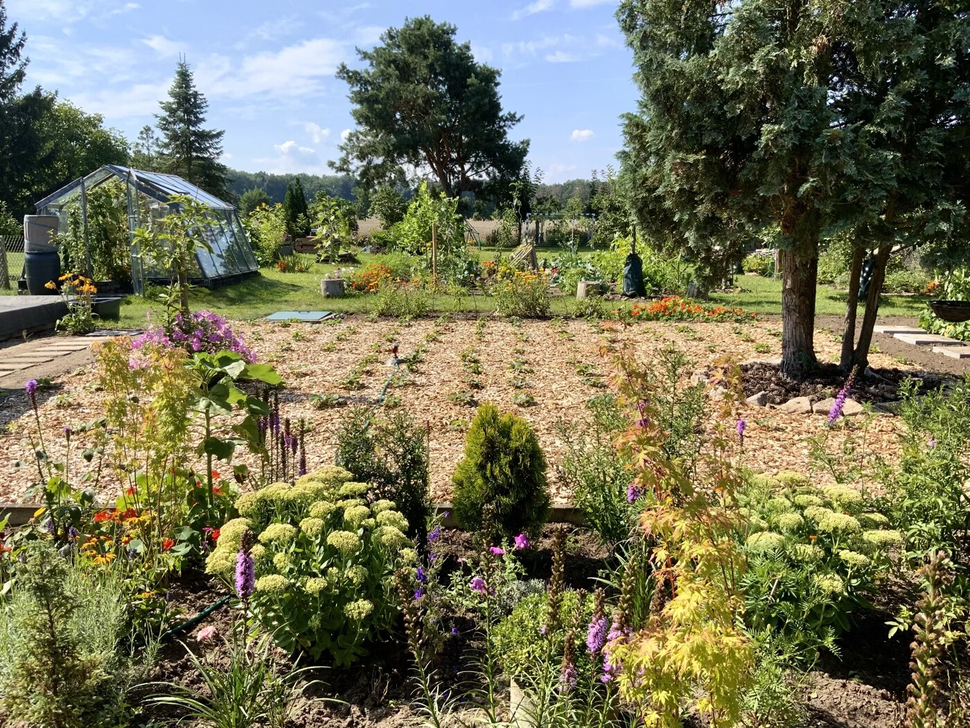 Garden with colorful flower beds, mulch areas, glass greenhouse on the left, and trees.