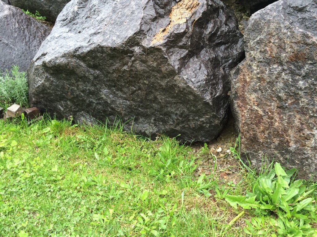 Garden area with large dark stones, grass and surrounding plants.