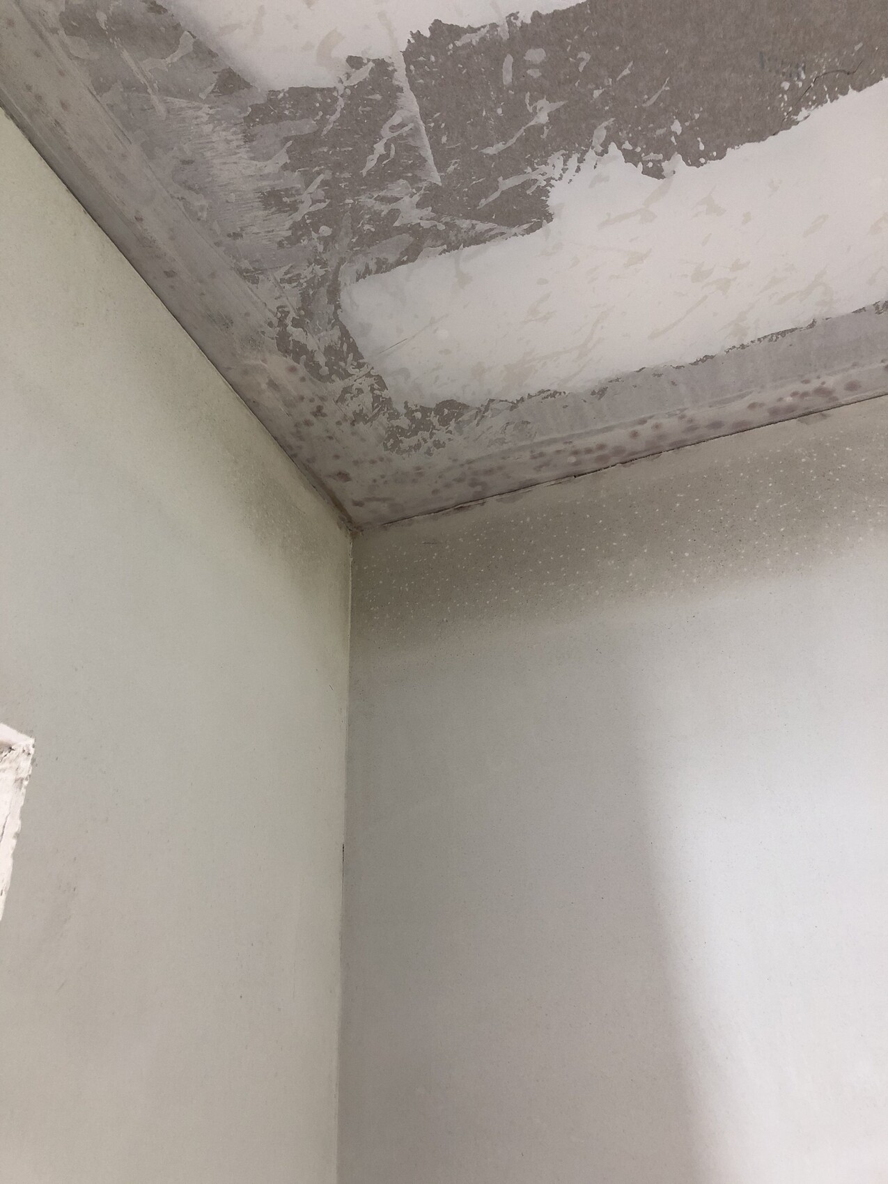 Corner of a room: ceiling with peeling plaster and moisture.