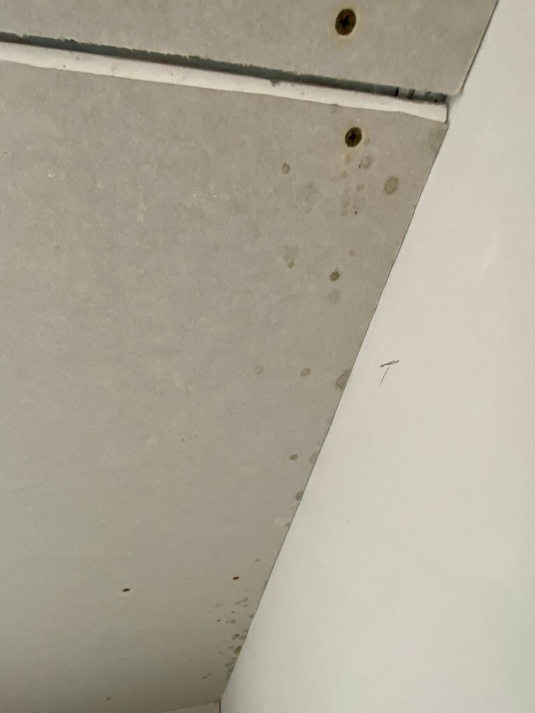 Gray panel on the left with rust stains and screws – white wall on the right in the corner.