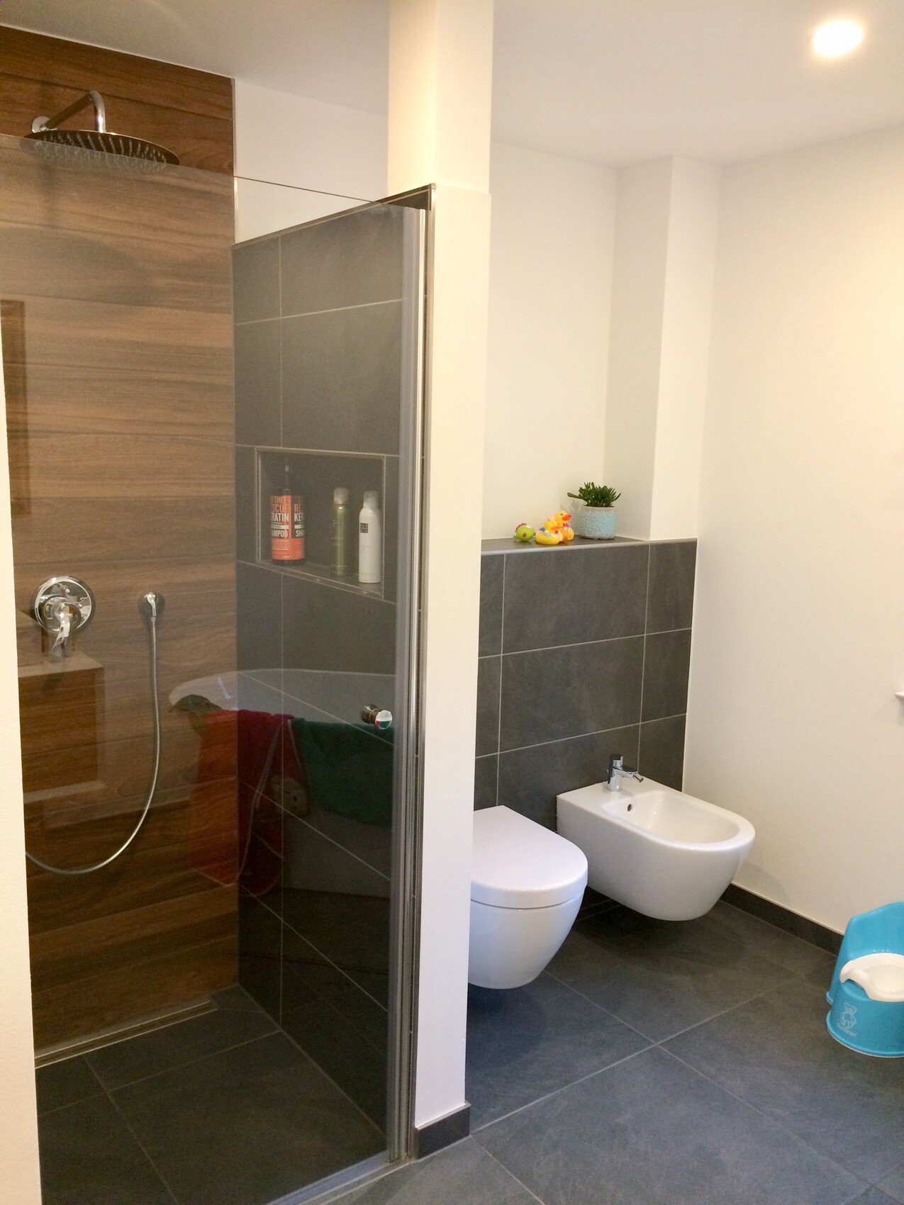Bathroom with shower, toilet and bidet; dark tiles, toys and plant.