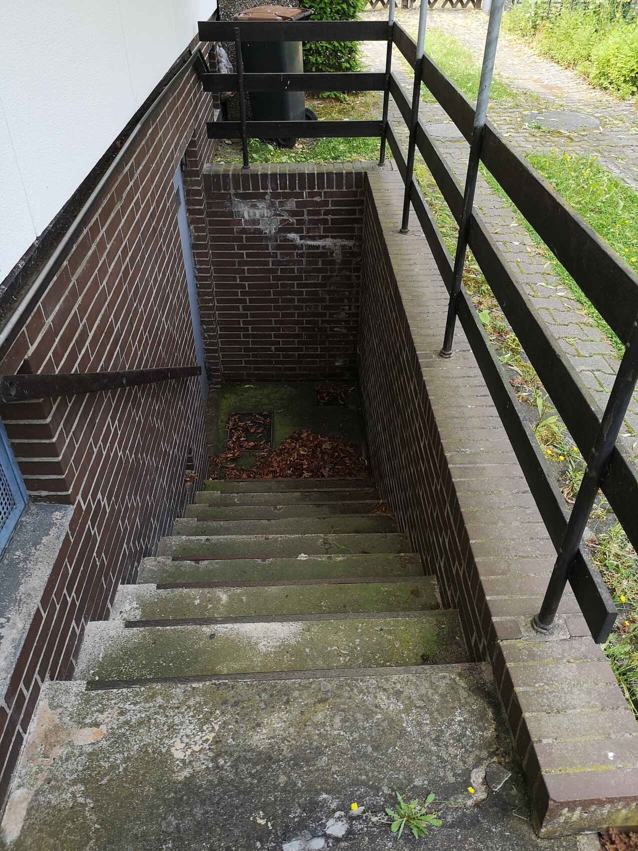 Ziegel-Treppenabstieg in Kellerschacht; Moos auf Stufen, Laub am Boden.