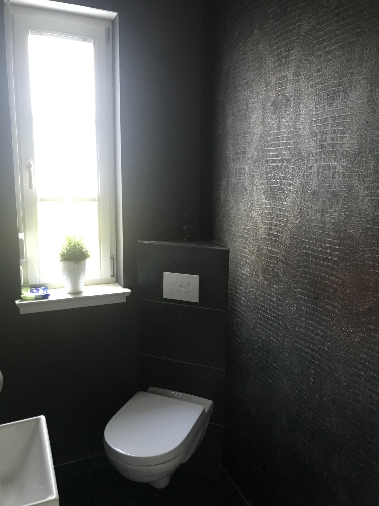 Dunkles Badezimmer: Fenster links, weiße Toilette, versteckter Spülkasten, Pflanze auf Fensterbank.