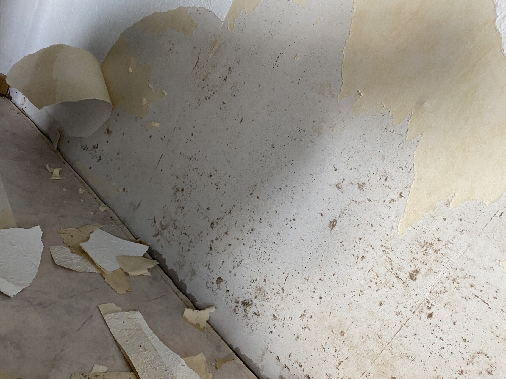 Wall with peeling wallpaper and plaster, floor covered with dust and debris.