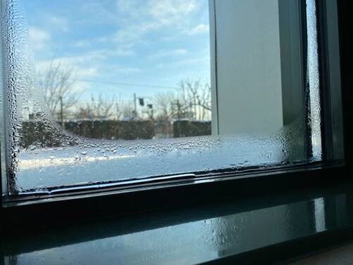 Fenster mit Kondensation im Innenraum, Blick durch Scheibe nach außen zu Bäumen und blauem Himmel.
