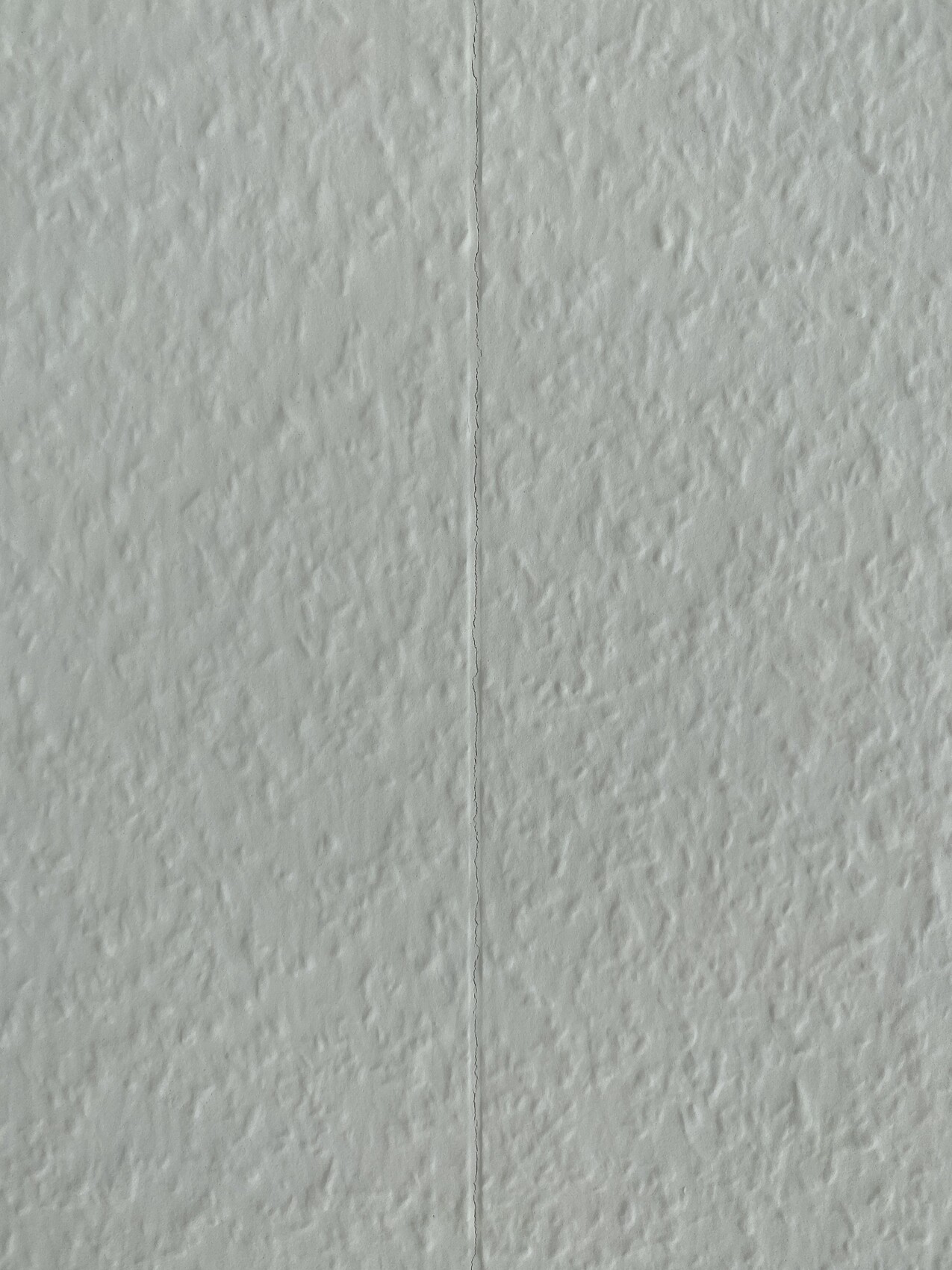 White wall with rough texture and a vertical crack line in the middle.