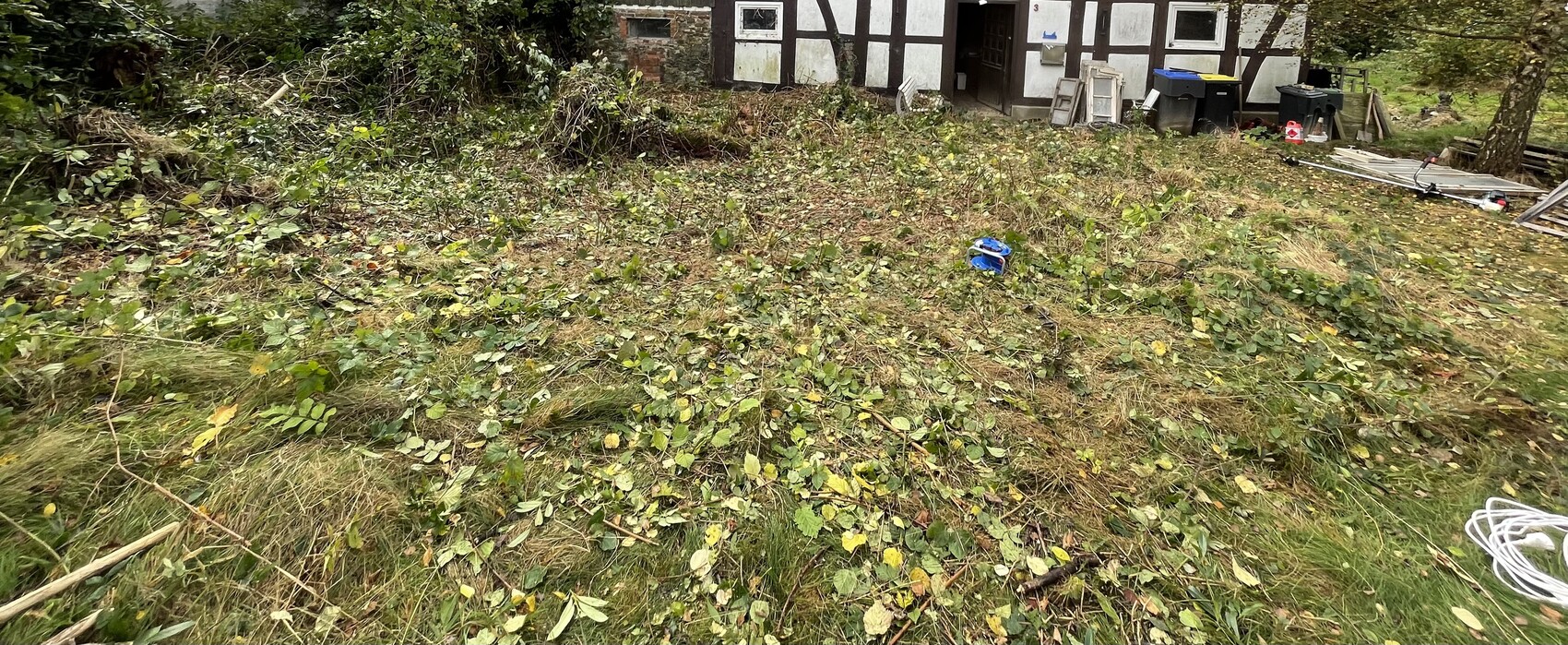 Garden with many cut branches and leaves, half-timbered house in the background.