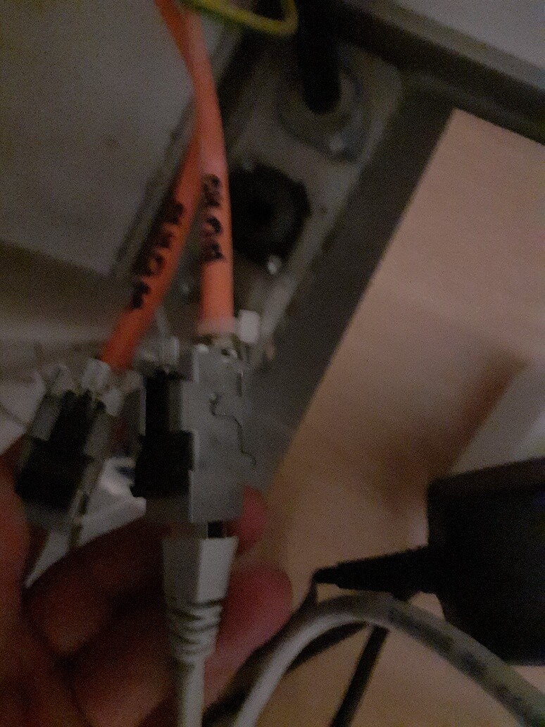 Close-up of orange Ethernet cables with RJ45 connectors in a network interface