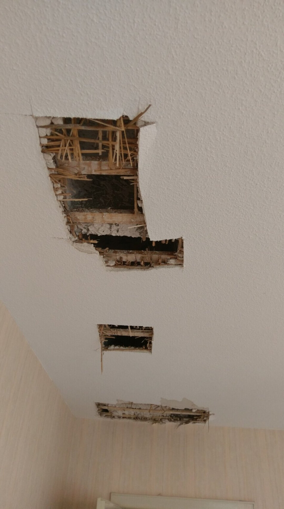 Ceiling with several holes, exposed wooden battens, and crumbling plaster.