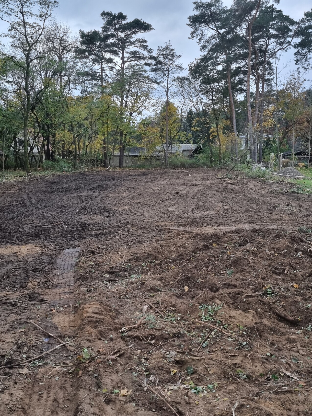 Cleared building plot at the edge of a forest with trees in the background.