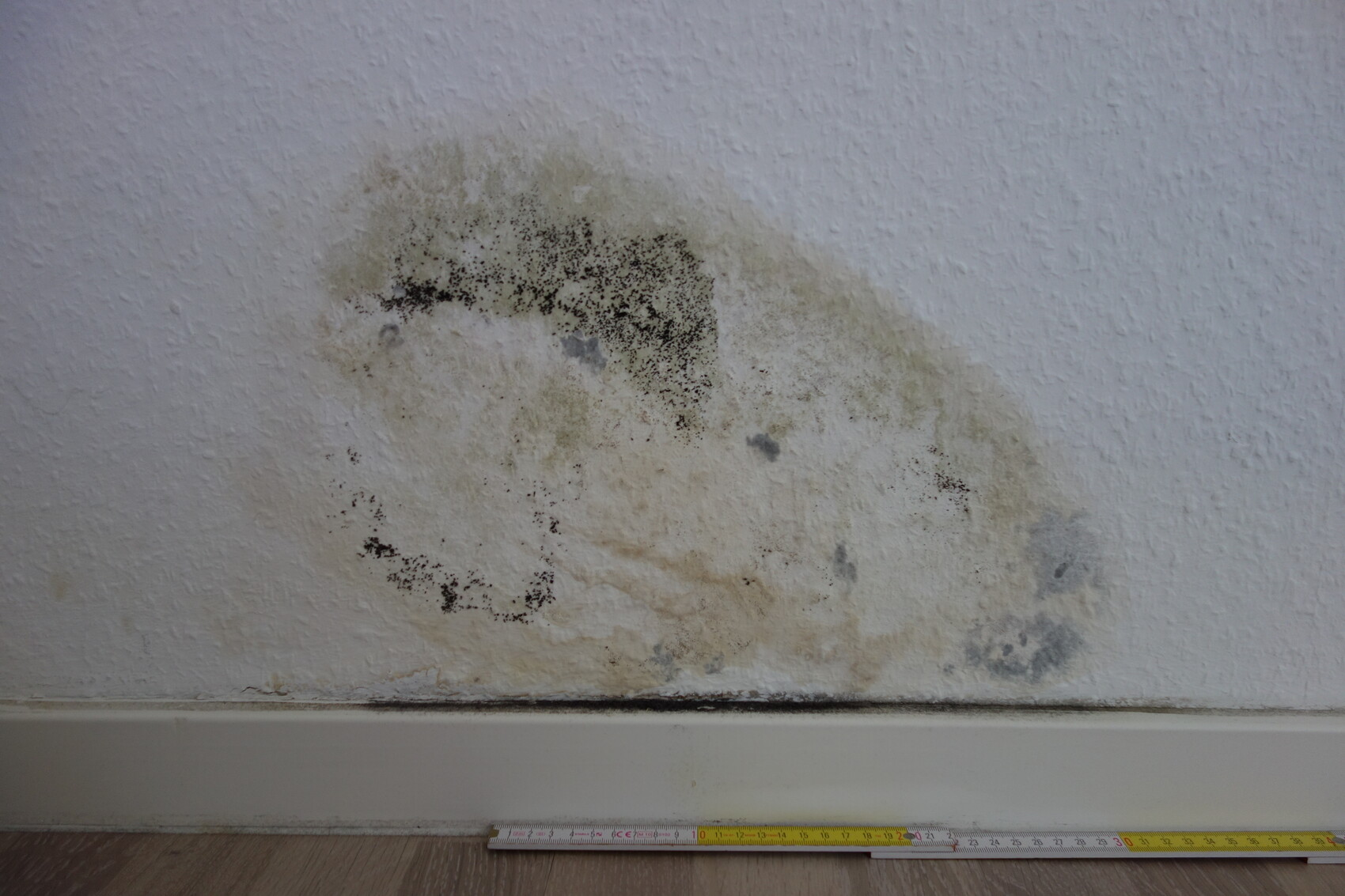 Mold stains and moisture on white wall above baseboard, measuring tape on floor.