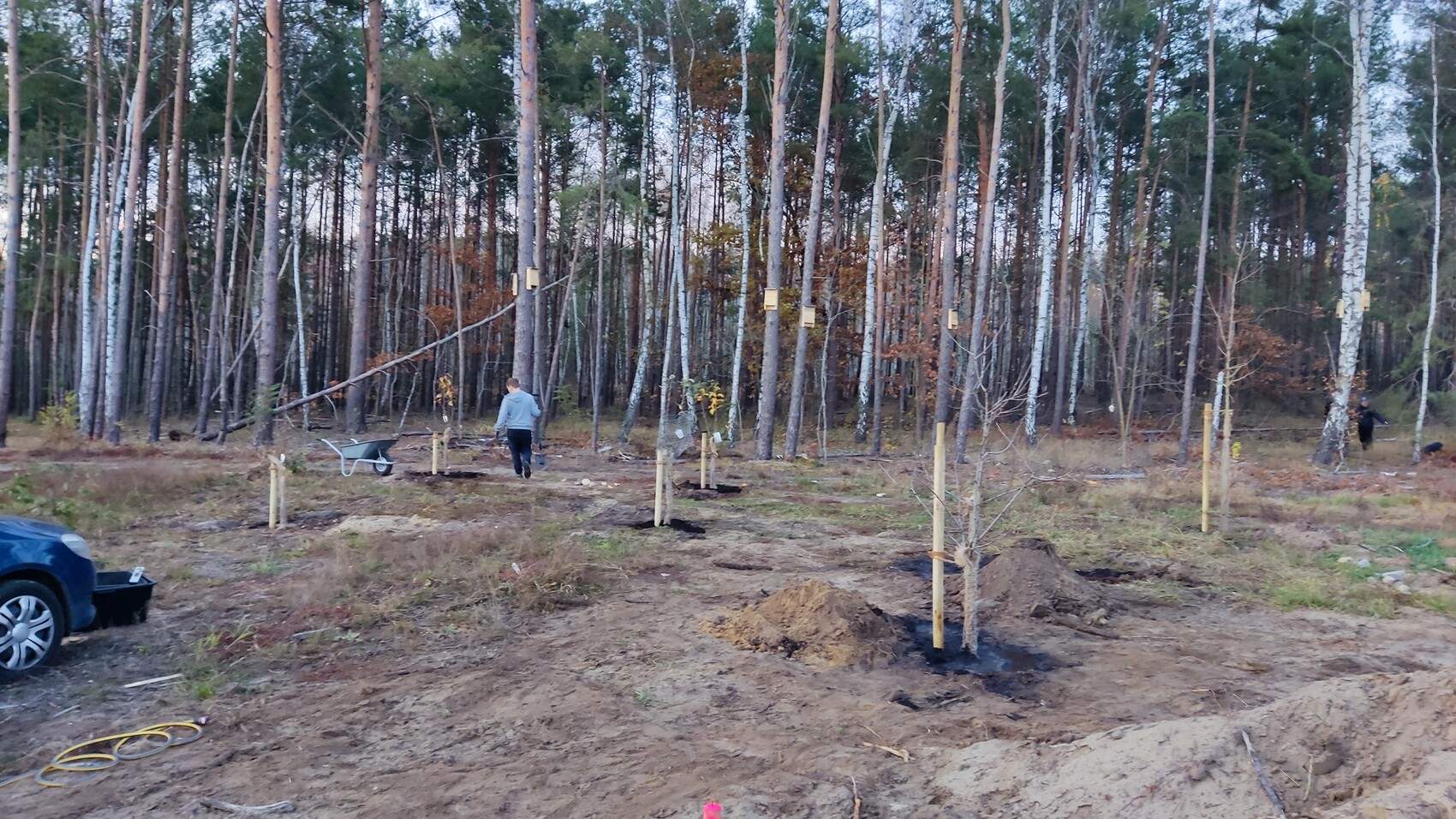 Construction site in the forest with soil, wooden stakes and worker preparing the site.