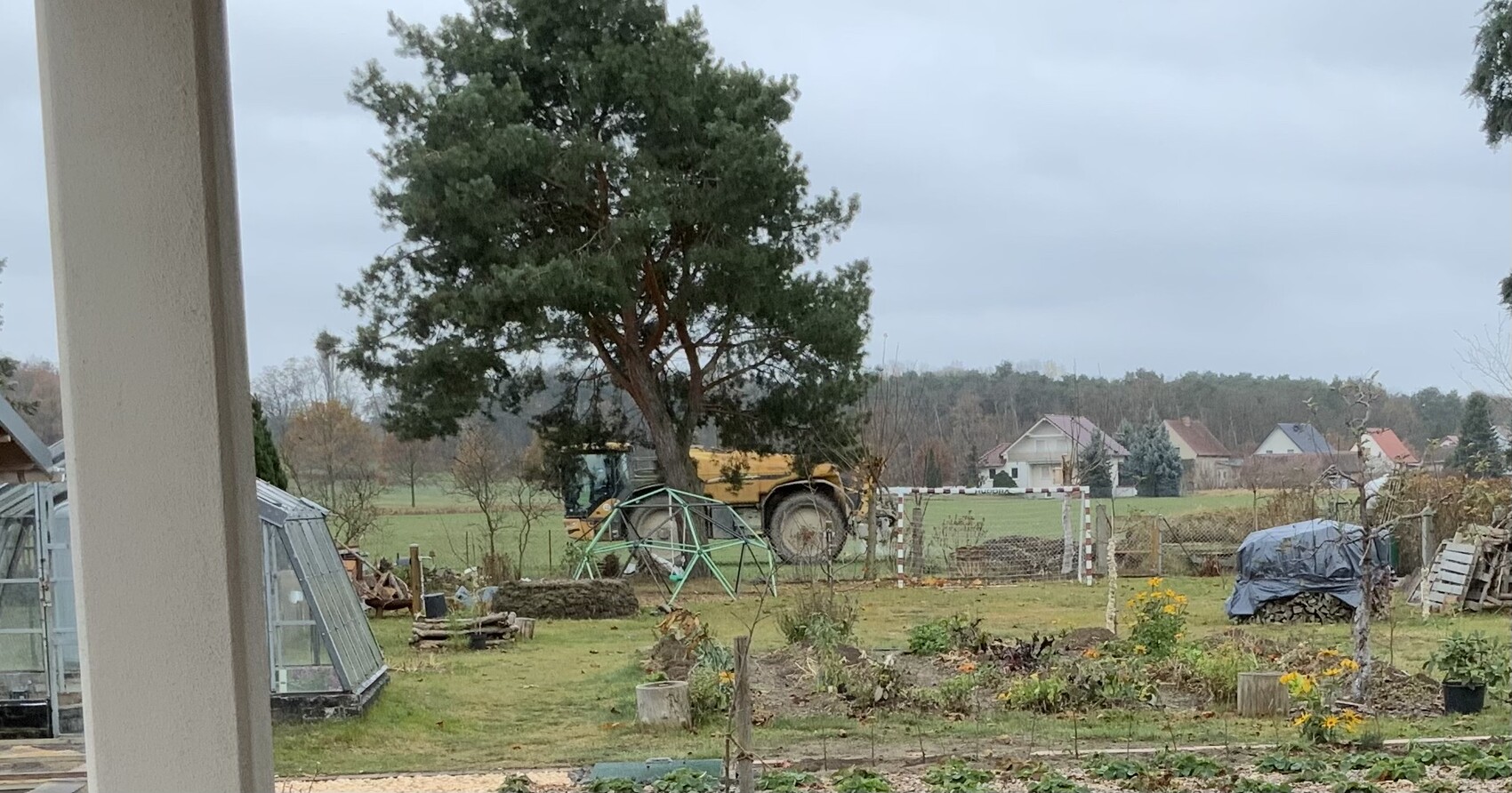 Garden with large tree, yellow tractor in the background, greenhouse on the left and beds in the foreground