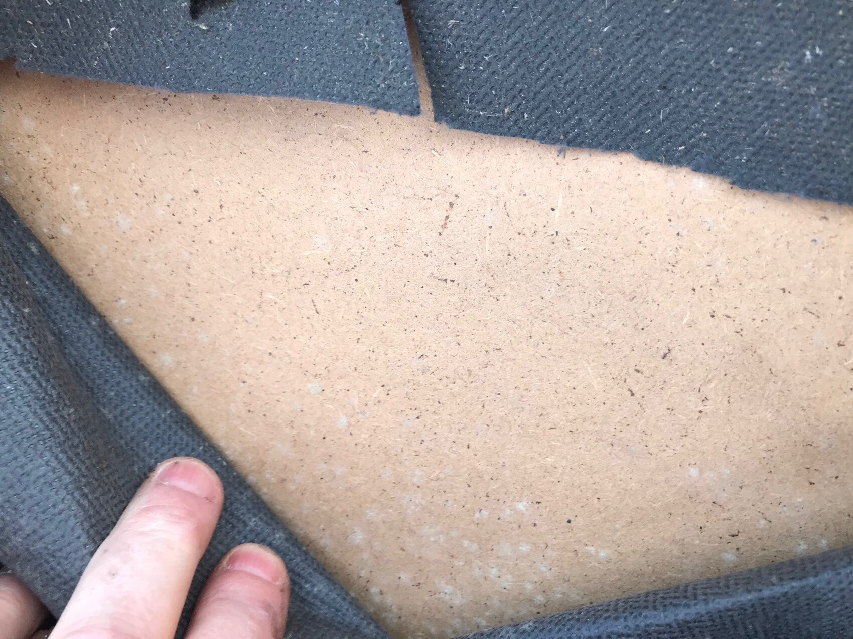 Close-up of light skin with spots under dark gray fabric; finger lifting fabric.