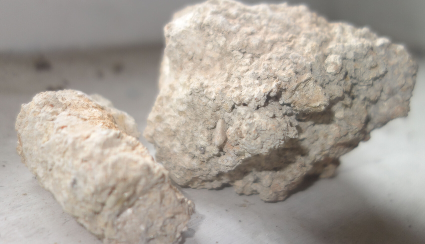 Two coarse, light-colored rock pieces with rough surfaces on a smooth surface.