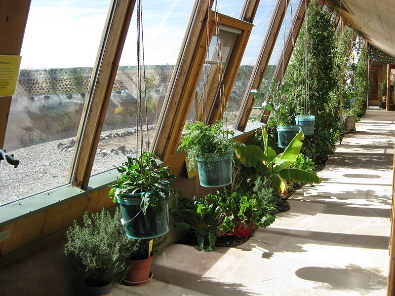 Bright wooden corridor with large windows, hanging plant pots, and potted plants.